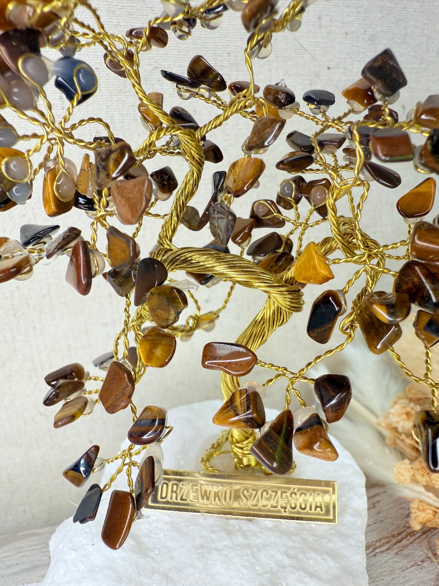 Arbre du bonheur ŒIL DU TIGRE