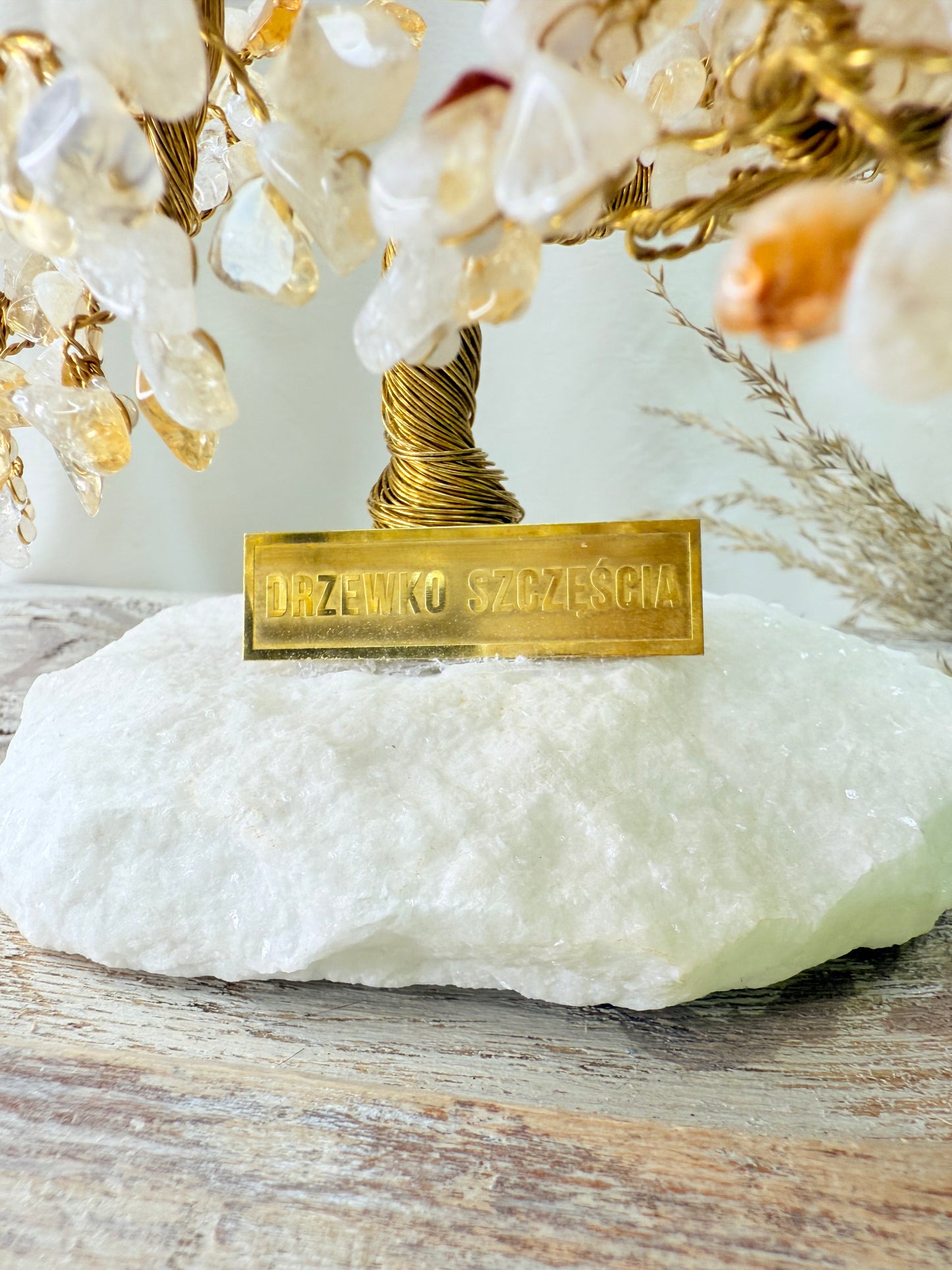 Arbre du bonheur Banzaï CITRINE