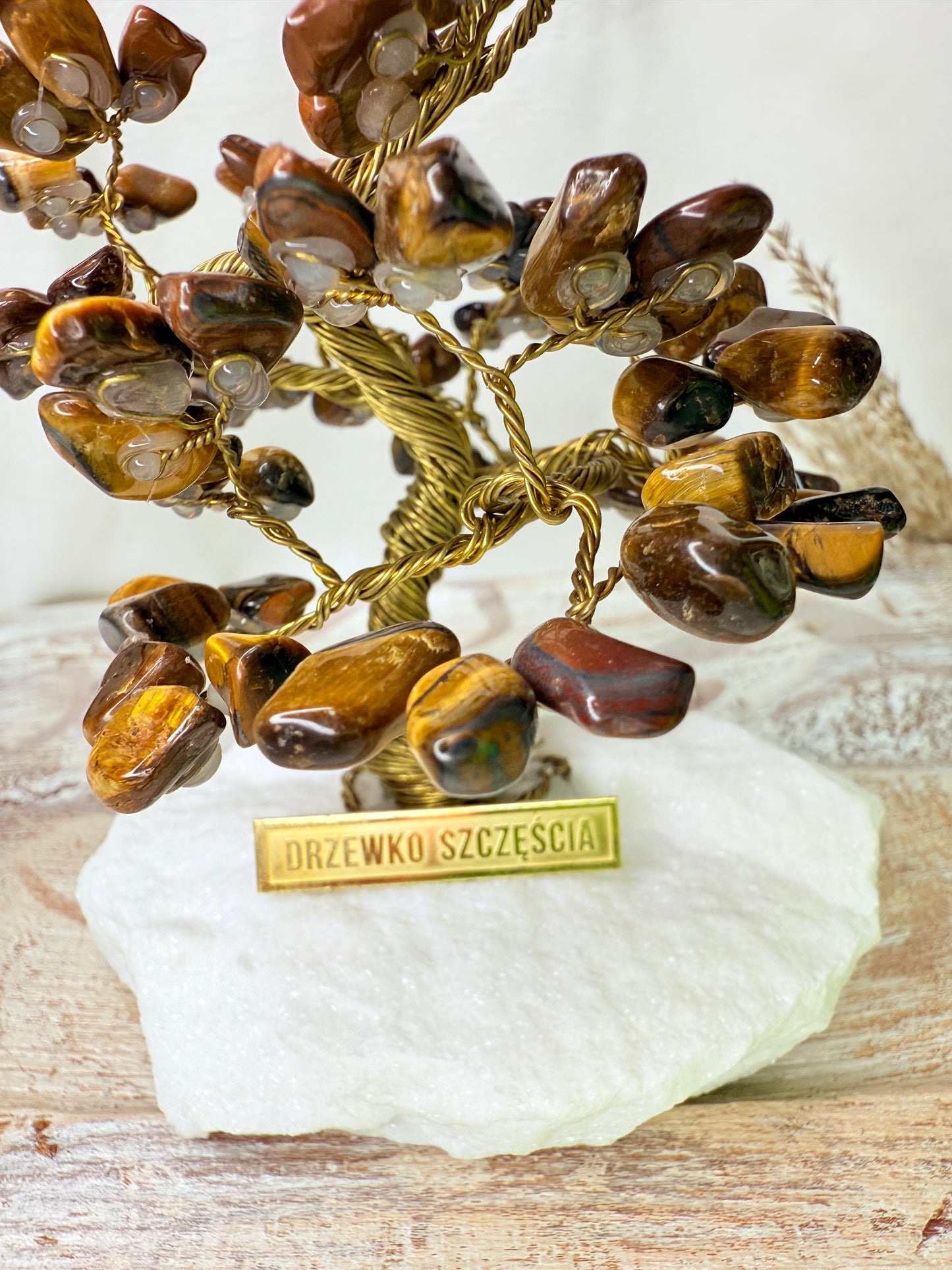 Arbre du bonheur ŒIL DU TIGRE