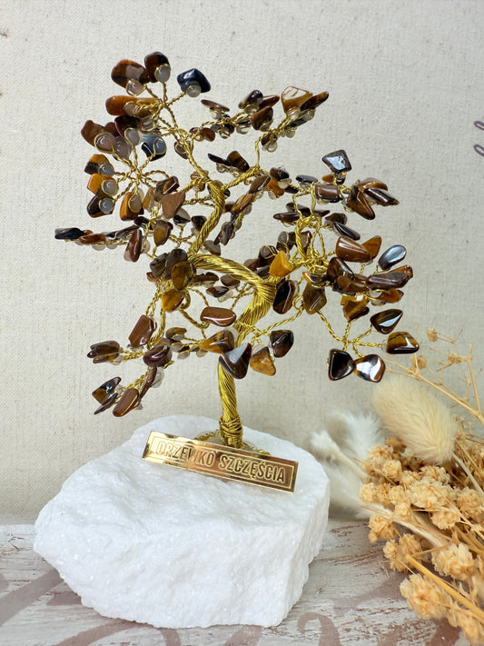 Arbre du bonheur ŒIL DU TIGRE