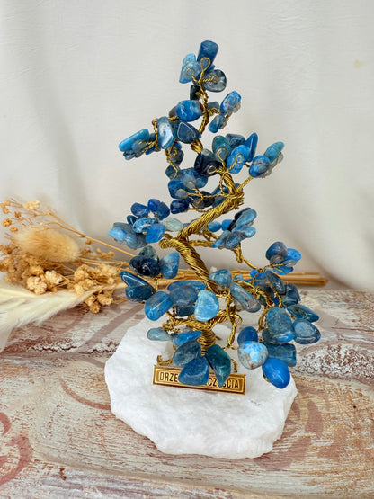 Arbre du bonheur APATITE