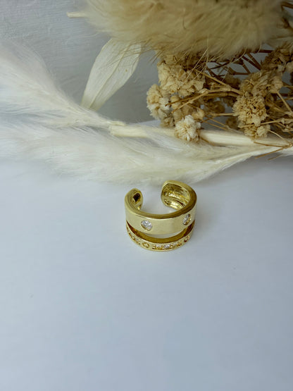 Lot de Bagues de l’oreille