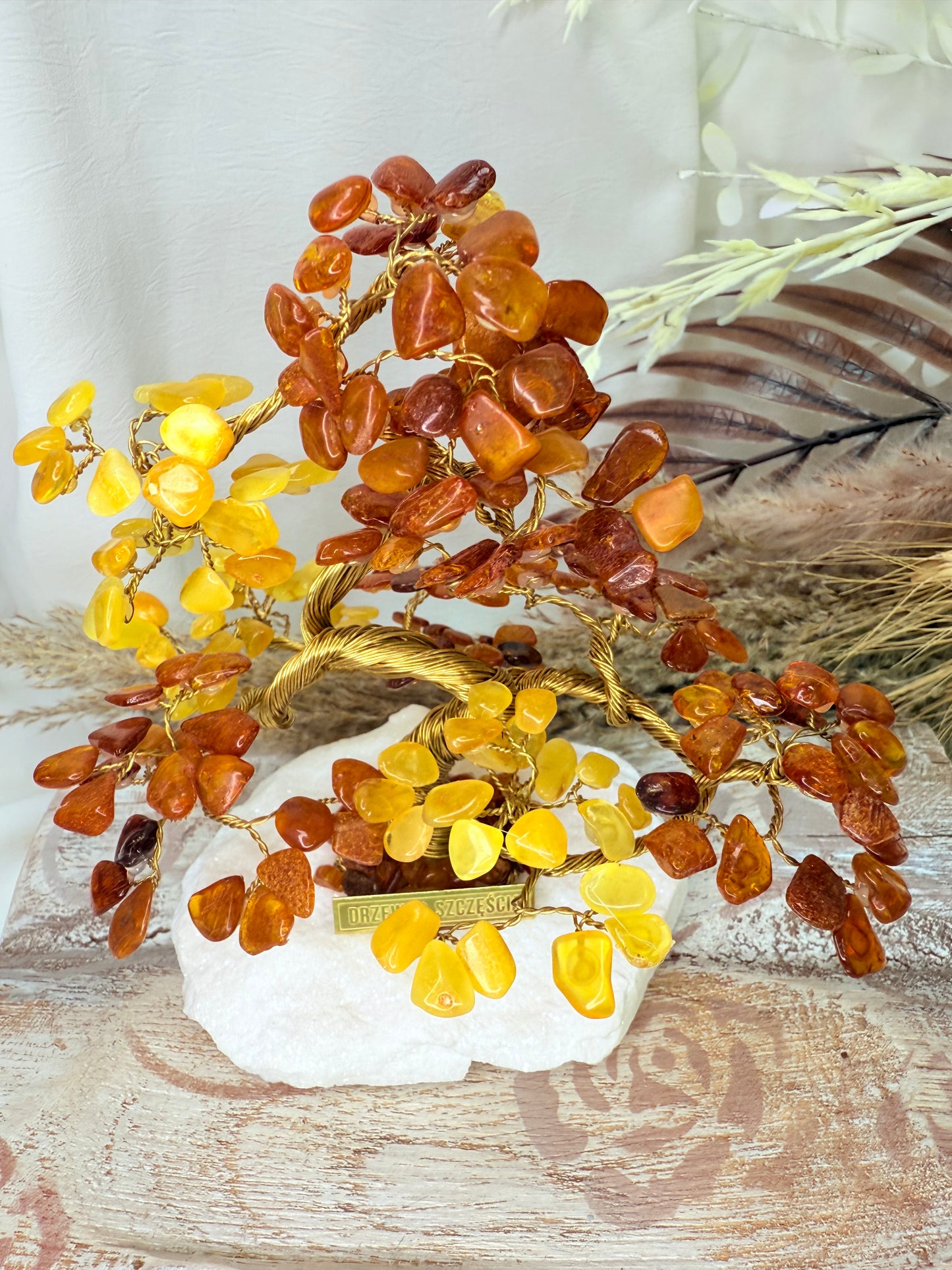 Arbre du bonheur Banzaï AMBRE