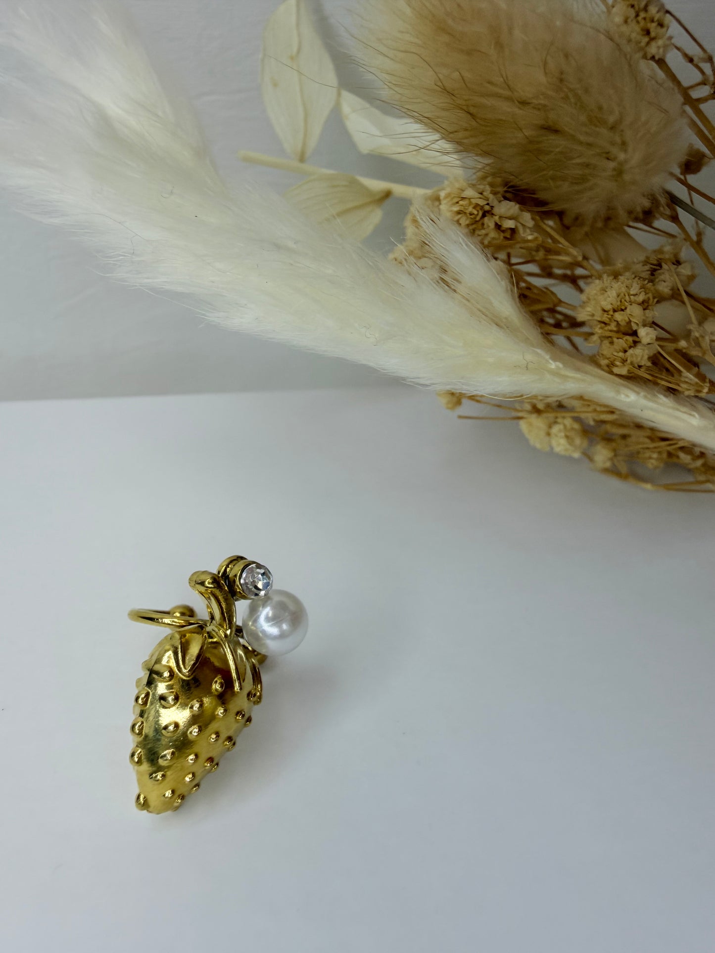 Lot de Bagues de l’oreille