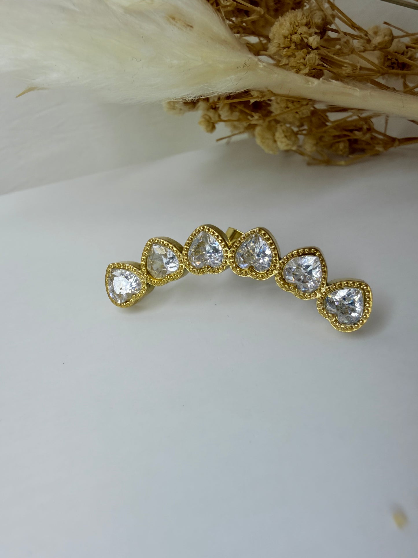 Lot de Bagues de l’oreille