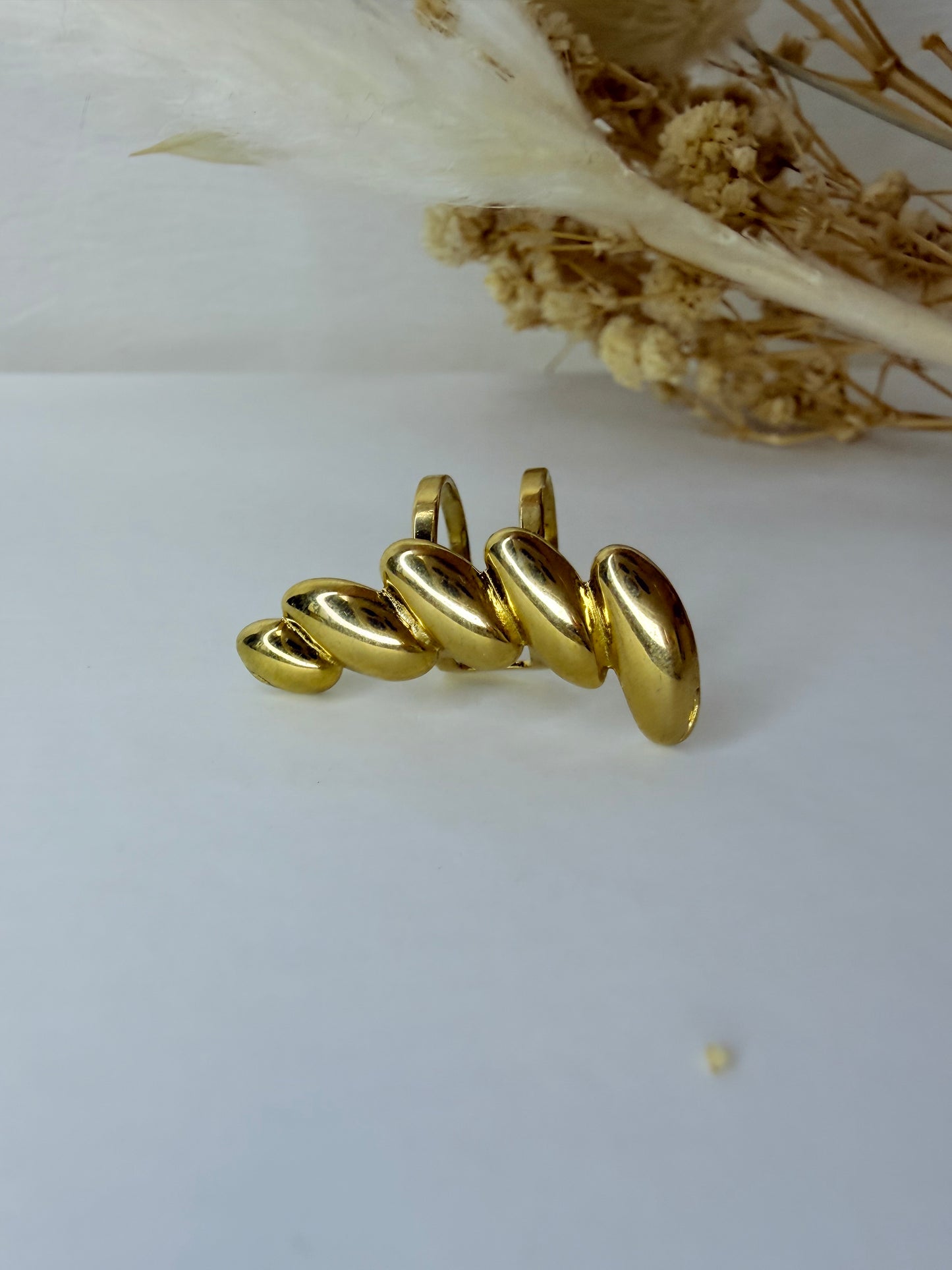 Lot de Bagues de l’oreille