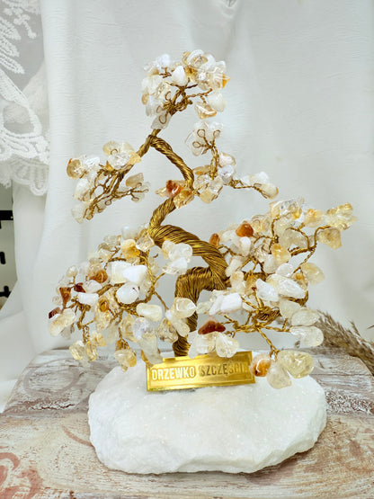 Arbre du bonheur Banzaï CITRINE