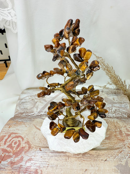 Arbre du bonheur ŒIL DU TIGRE