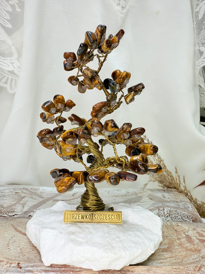 Arbre du bonheur ŒIL DU TIGRE