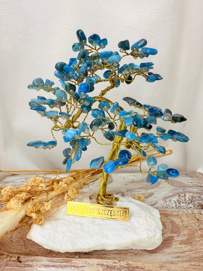 Arbre du bonheur APATITE