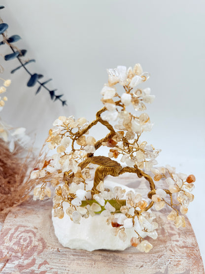 Arbre du bonheur Banzaï CITRINE