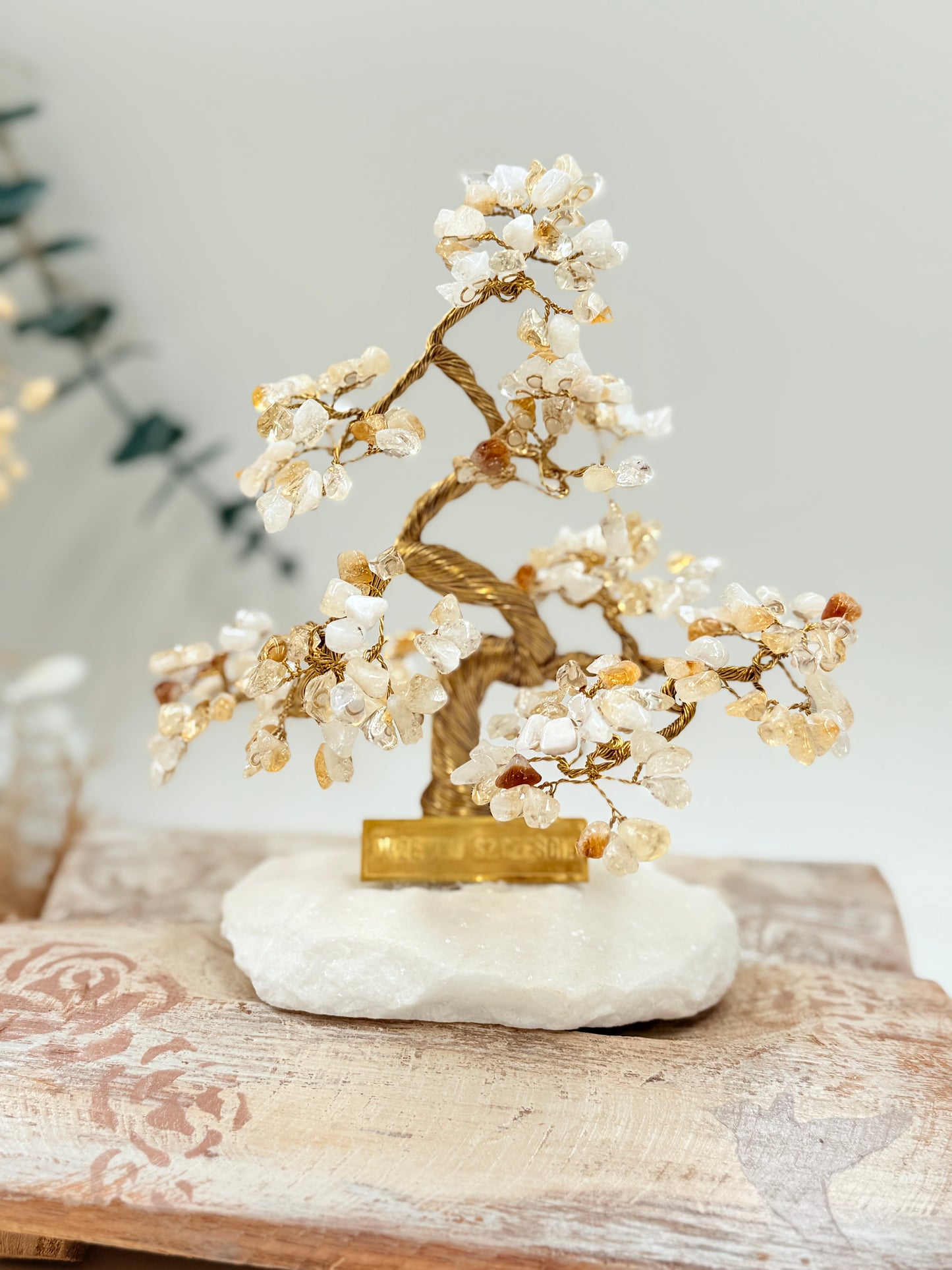 Arbre du bonheur Banzaï CITRINE